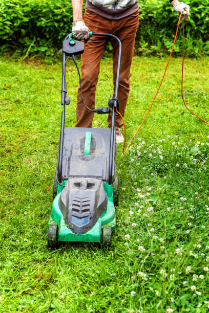 Lawn maintenance
